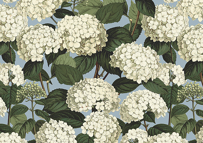 Annabelle, Cornflower - Roller Blind - Image 6
